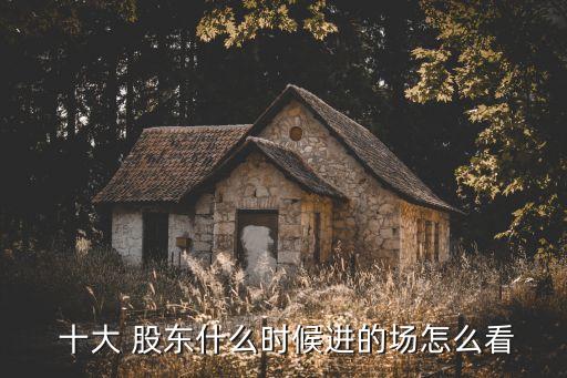  十大 股東什么時(shí)候進(jìn)的場(chǎng)怎么看