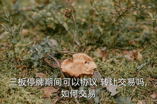 急用錢轉(zhuǎn)讓停盤(pán)的股票