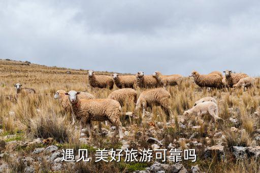 美好集團史分紅送配,華誼集團分紅送配記錄