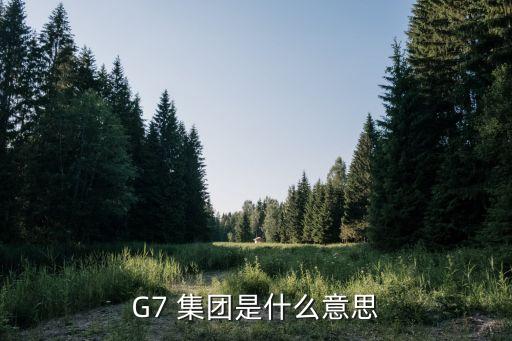 G7 集團(tuán)是什么意思