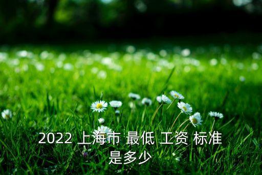 2022 上海市 最低 工資 標準是多少