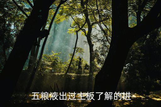  五糧液出過(guò)主板了解的進(jìn)