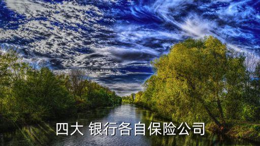 四大 銀行各自保險(xiǎn)公司