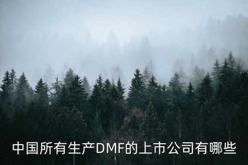 中國所有生產(chǎn)DMF的上市公司有哪些