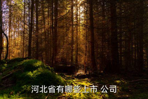 威遠(yuǎn)生化公司,河北威遠(yuǎn)生化聯(lián)系方式