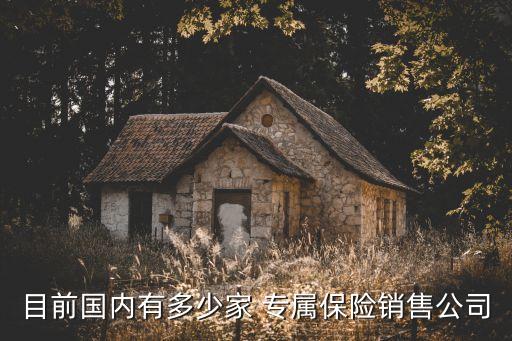 專屬保險(xiǎn)公司