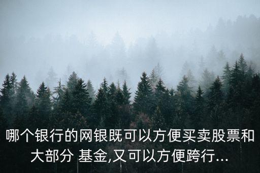 哪個銀行的網銀既可以方便買賣股票和大部分 基金,又可以方便跨行...