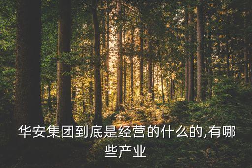  華安集團到底是經(jīng)營的什么的,有哪些產(chǎn)業(yè)