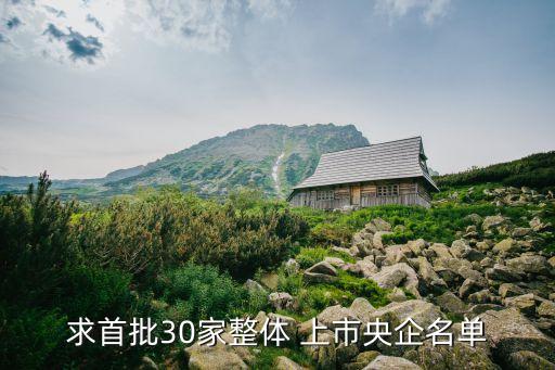 求首批30家整體 上市央企名單