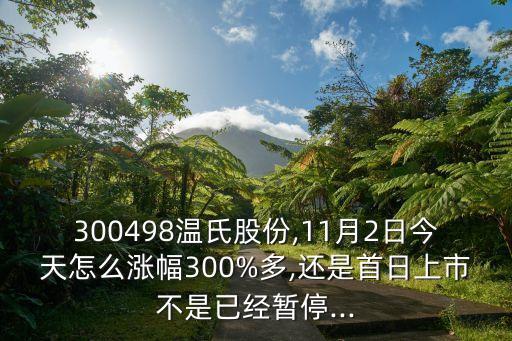 300498溫氏股份,11月2日今天怎么漲幅300%多,還是首日上市不是已經(jīng)暫停...