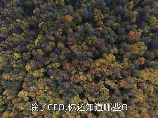 除了CEO,你還知道哪些O