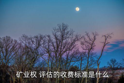  礦業(yè)權(quán) 評(píng)估的收費(fèi)標(biāo)準(zhǔn)是什么