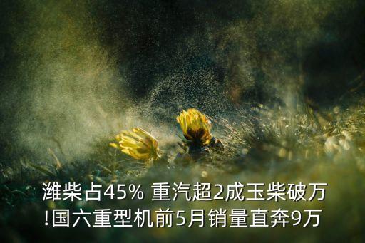  濰柴占45% 重汽超2成玉柴破萬!國六重型機(jī)前5月銷量直奔9萬