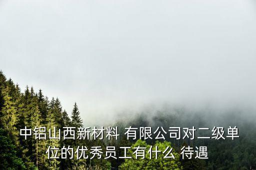  中鋁山西新材料 有限公司對(duì)二級(jí)單位的優(yōu)秀員工有什么 待遇