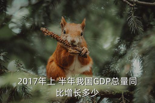 2017年上 半年我國GDP總量同比增長多少