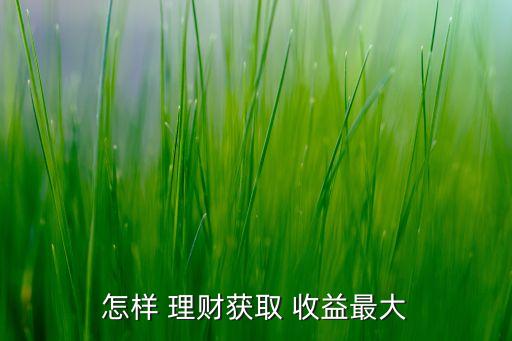 怎樣 理財(cái)獲取 收益最大