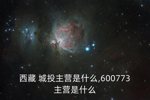 西藏 城投主營是什么,600773主營是什么