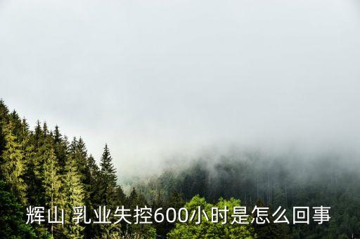 輝山 乳業(yè)失控600小時是怎么回事