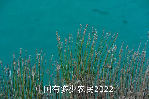 中國有多少農(nóng)民2022