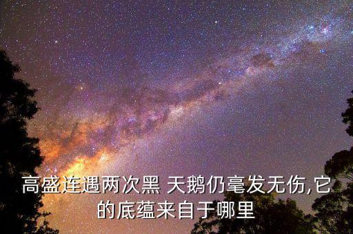 中國股票市場黑天鵝事件,舉例說明股票市場中的黑天鵝