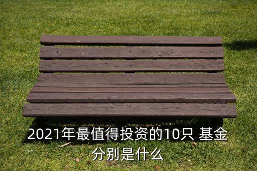 2021年最值得投資的10只 基金分別是什么