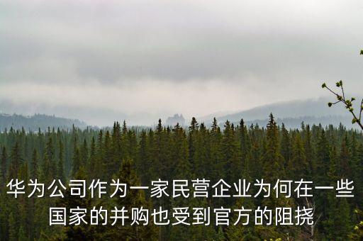 華為公司作為一家民營企業(yè)為何在一些國家的并購也受到官方的阻撓