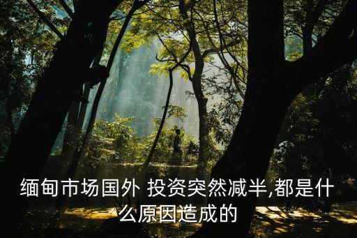 緬甸市場國外 投資突然減半,都是什么原因造成的