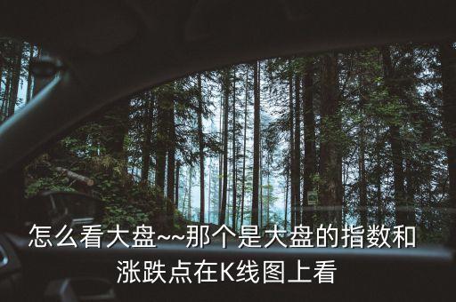 怎么看大盤~~那個是大盤的指數(shù)和 漲跌點在K線圖上看