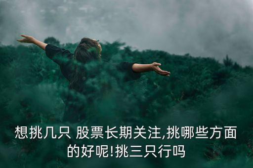 想挑幾只 股票長期關注,挑哪些方面的好呢!挑三只行嗎