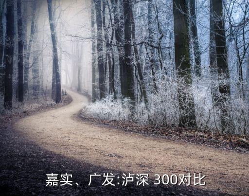  嘉實(shí)、廣發(fā):瀘深 300對(duì)比