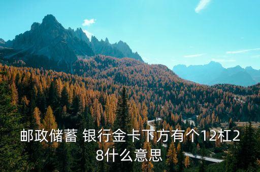 郵政儲蓄 銀行金卡下方有個12杠28什么意思