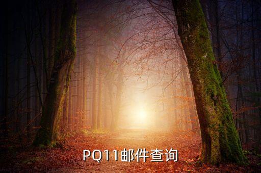 PQ11郵件查詢(xún)