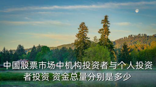 中國股票市場(chǎng)中機(jī)構(gòu)投資者與個(gè)人投資者投資 資金總量分別是多少