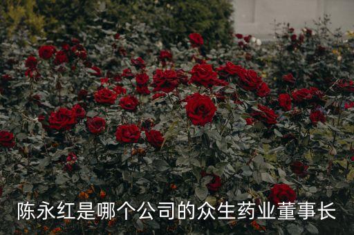 陳永紅是哪個(gè)公司的眾生藥業(yè)董事長(zhǎng)