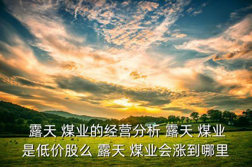  露天 煤業(yè)的經(jīng)營(yíng)分析 露天 煤業(yè)是低價(jià)股么 露天 煤業(yè)會(huì)漲到哪里