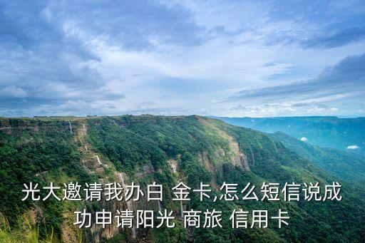 光大銀行visa陽(yáng)光商旅信用卡金卡