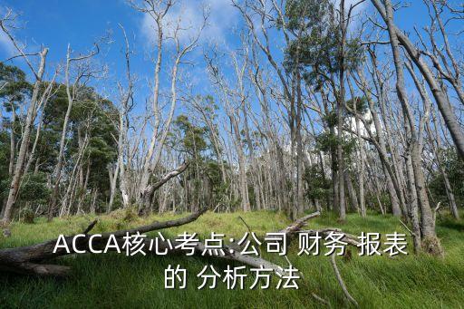 ACCA核心考點(diǎn):公司 財(cái)務(wù) 報(bào)表的 分析方法