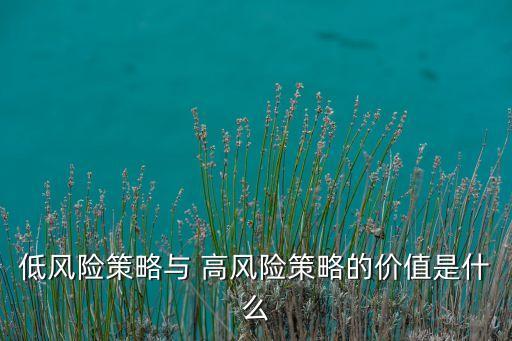 低風(fēng)險(xiǎn)策略與 高風(fēng)險(xiǎn)策略的價(jià)值是什么