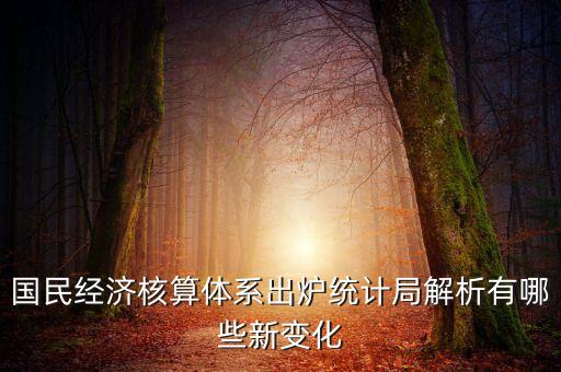 國民經(jīng)濟核算體系出爐統(tǒng)計局解析有哪些新變化