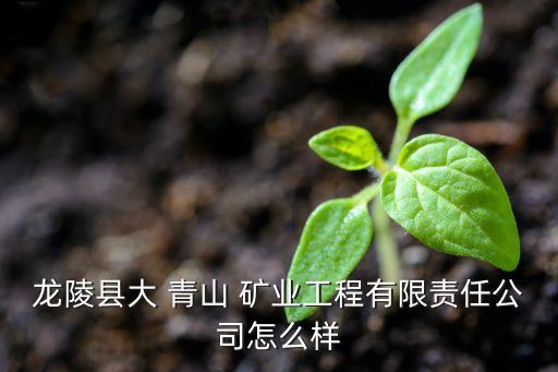 龍陵縣大 青山 礦業(yè)工程有限責任公司怎么樣