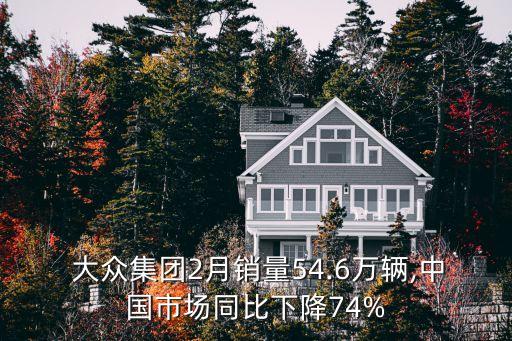  大眾集團2月銷量54.6萬輛,中國市場同比下降74%