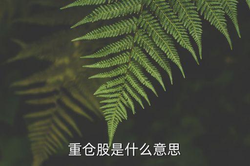 重倉股是什么意思