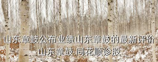 山東章鼓公布業(yè)績山東章鼓的最新評價山東章鼓 同花順診股