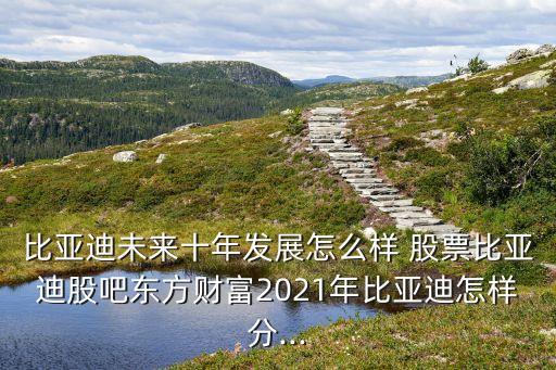 比亞迪未來十年發(fā)展怎么樣 股票比亞迪股吧東方財富2021年比亞迪怎樣分...