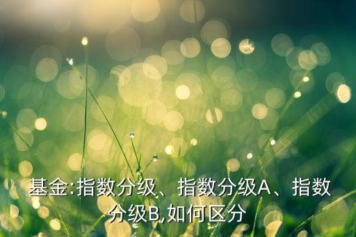  基金:指數(shù)分級(jí)、指數(shù)分級(jí)A、指數(shù)分級(jí)B,如何區(qū)分