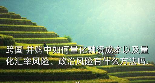 跨國 并購中如何量化融資成本以及量化匯率風險、政治風險有什么方法嗎...