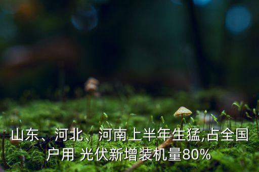 山東、河北、河南上半年生猛,占全國(guó)戶用 光伏新增裝機(jī)量80%