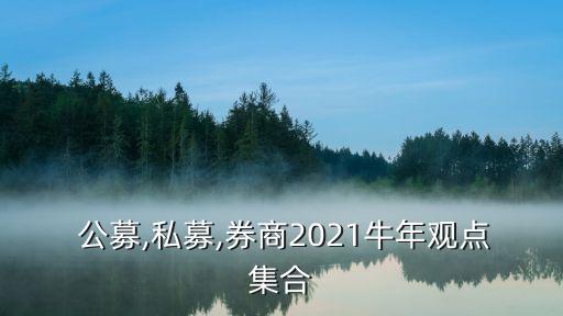  公募,私募,券商2021牛年觀點(diǎn)集合