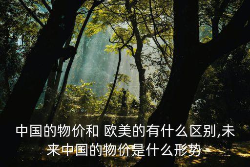 中國的物價(jià)和 歐美的有什么區(qū)別,未來中國的物價(jià)是什么形勢(shì)