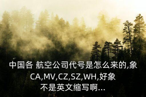 中國各 航空公司代號是怎么來的,象CA,MV,CZ,SZ,WH,好象不是英文縮寫啊...